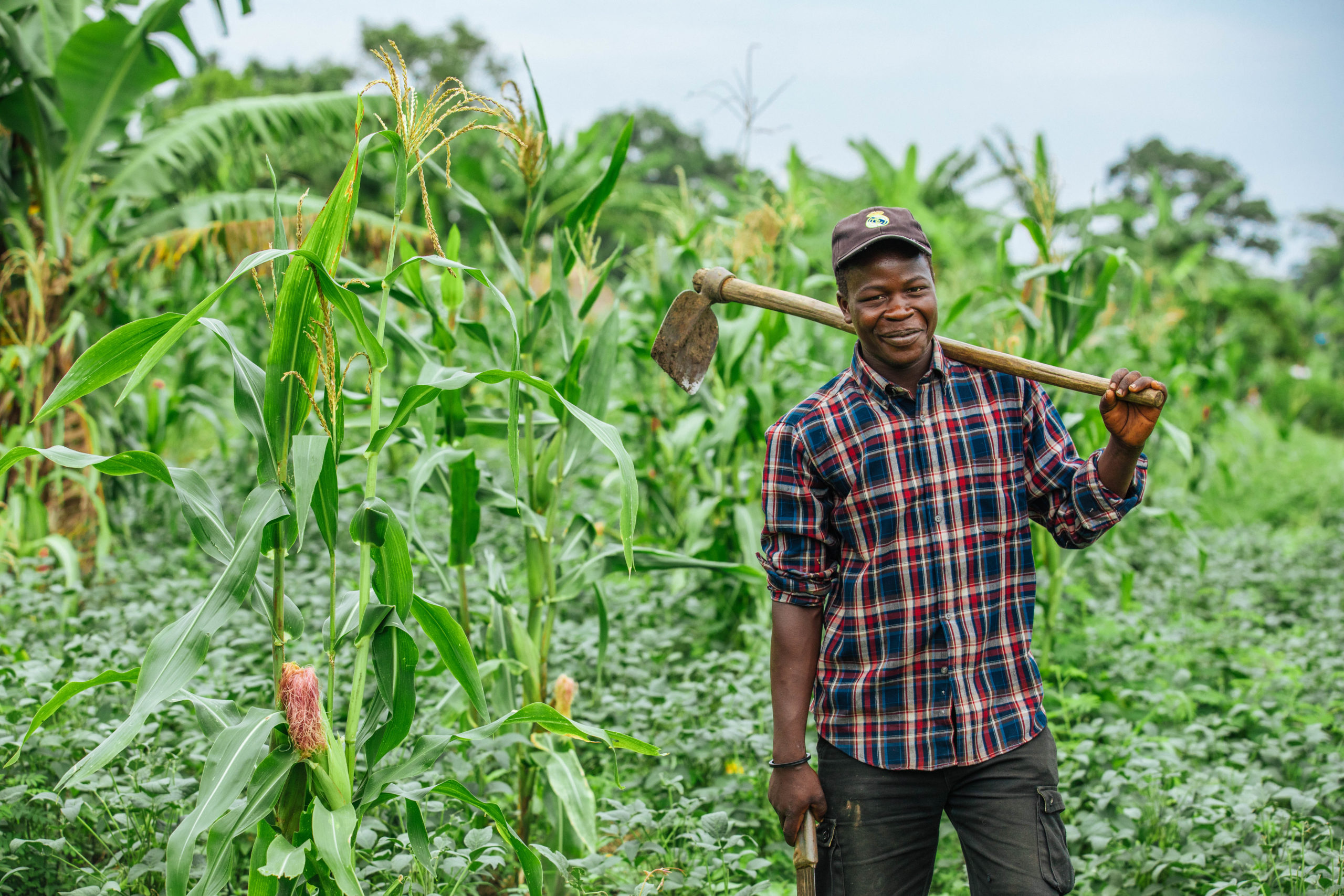 Environmentally-friendly livelihood