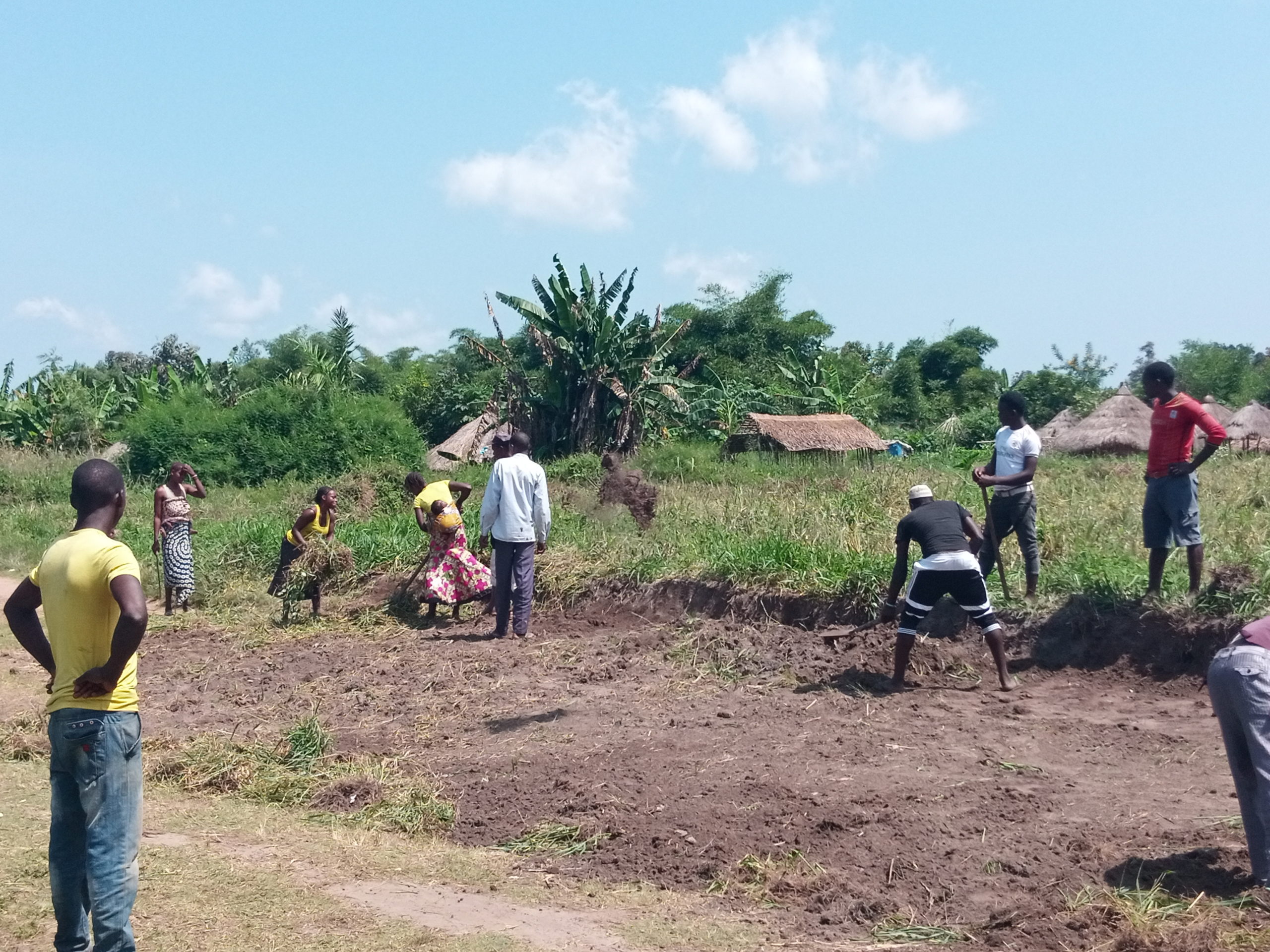 Economic Opportunity - Farming