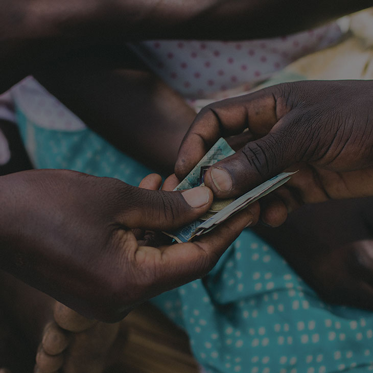 Sustainable Livelihoods image