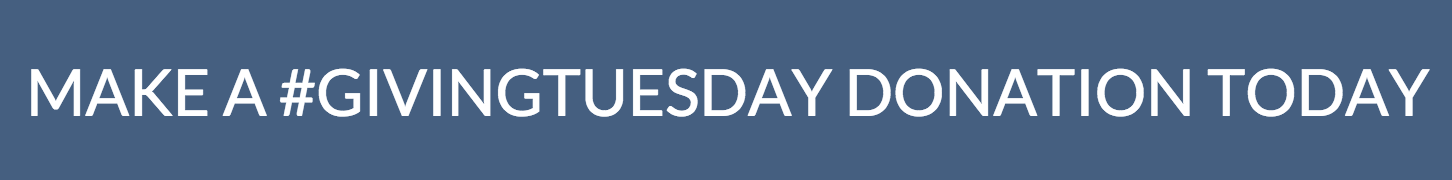 Screen Shot 2017-11-09 at 4.27.45 PM