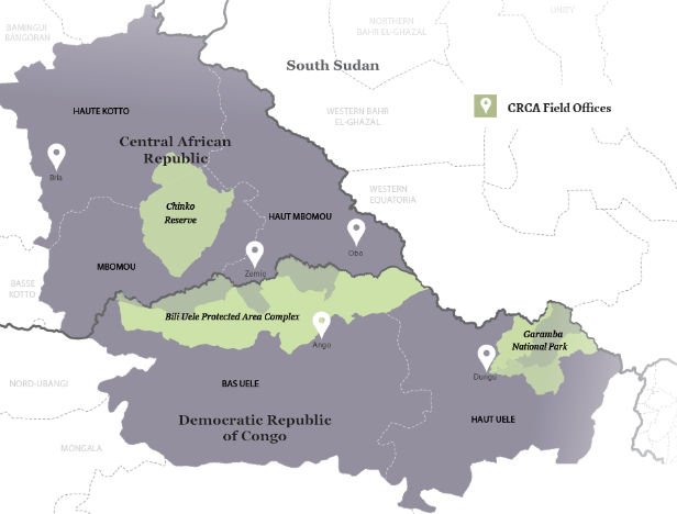 Screen Shot 2018-09-12 at 2.55.00 PM